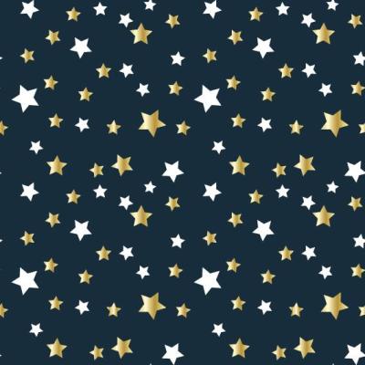 Art-Nr-227-3974H-250m-coated-Packfix-Geschenkpapier-2024-Ganzjahr-Trend