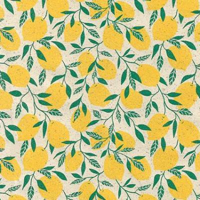 Art-Nr-G23-78902-200m-Graspapier-Packfix-Geschenkpapier-2024-Ganzjahr-Gras-Zuckerruebe-Hanf
