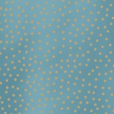 Art-Nr-421-4057132-250m-kraft-bn-spotted-metallic-light-blue-Packfix-Geschenkpapier-2024-Ganzjahr-Kraft-Recycelt