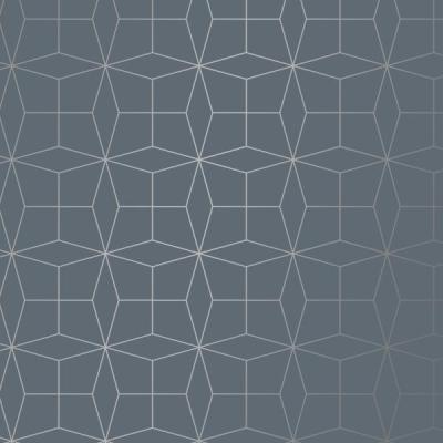 121-6019207-Starline-grey-silver-200m