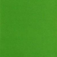uniArt-Nr-401-42802-30cm_x_250m-UNI-kraft-fluorgruen-PACKFIX-GESCHENKPAPIER