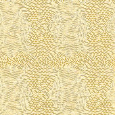 447-330PA-40m-x-70cm-Folie-transp-30my