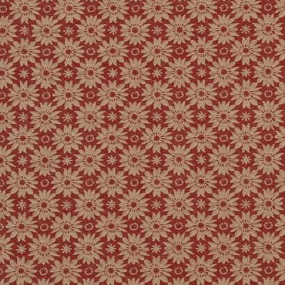 Packfix-Geschenkpapiere-Ganzjahr-oekologisch-sr35-2678-3830-gj-250m