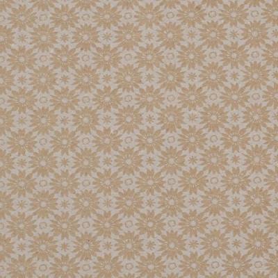 Packfix-Geschenkpapiere-Ganzjahr-oekologisch-sr35-2678-6300-gj-250m