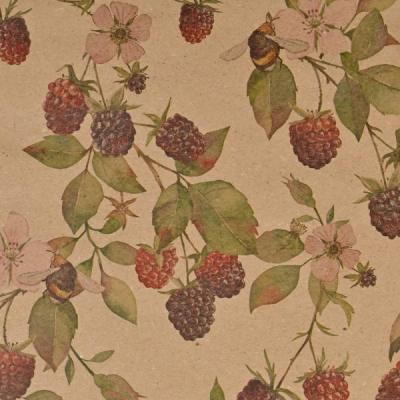 Packfix-Geschenkpapiere-Ganzjahr-oekologisch-sr35-2753-9901-gj-250m