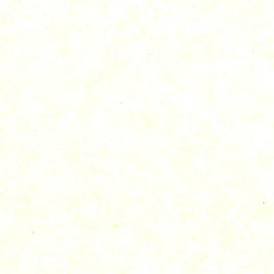 Art-Nr-7000-197-94001-weiss-50x75cm-Packfix-SEIDENPAPIER-17g-BOGEN-UNI