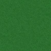 7000-197-98005-gruen-50x75cm