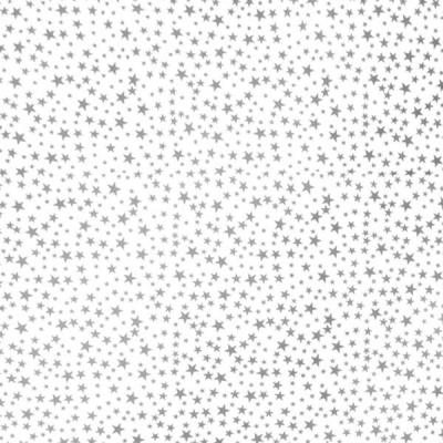 7000-197-97050-sterne-silber-50x75cm